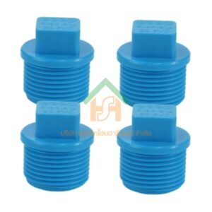 ปลั๊กอุดพีวีซี ปลั๊กอุด พีวีซี ปลั๊กอุดPVC ปลั๊กอุด PVC ขนาด 3/4" (6 หุน) จำนวน 4 ชิ้น/แพ็ค : ดี.เอส.เอ.ไอ (DSAI) DSAI.SET.100
