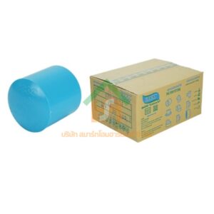 ฝาครอบ พีวีซี ฝาครอบพีวีซี ฝาครอบ PVC ฝาครอบPVC ขนาด 2" (2 นิ้ว) : ดี.เอส.เอ.ไอ (DSAI) DSAI085